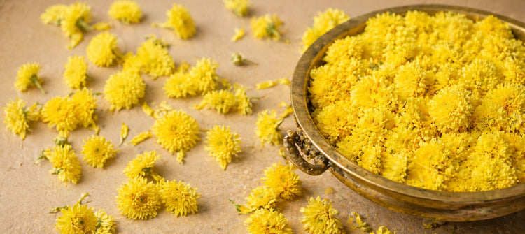 Uthiri Poo (Un Strung Flowers)